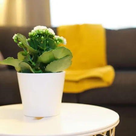 Apartment Nice Central Studio Luxemburg