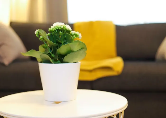 Apartman Nice Central Studio Luxemburg