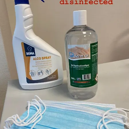 Nice Central Studio דירה